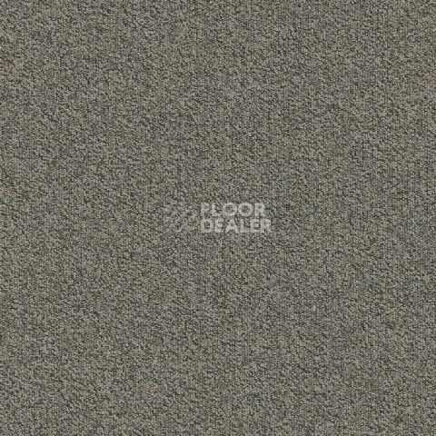 Ковровая плитка Modulyss Millennium Nxtgen Millennium Nxtgen 817 фото 1 | FLOORDEALER